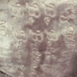 Meet your Posher, Merike